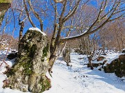 Sulle nevi del Monte Zucco da S. Antonio Abbandonato il 20 febbraio 2026 - FOTOGALLERY